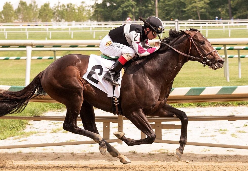 Weekend Update: Two Sagamore Stakes Wins