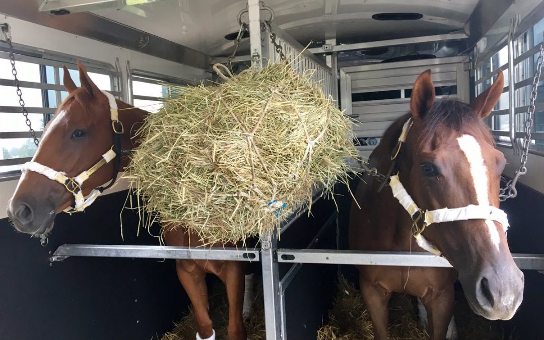 Opening Weekend at Saratoga