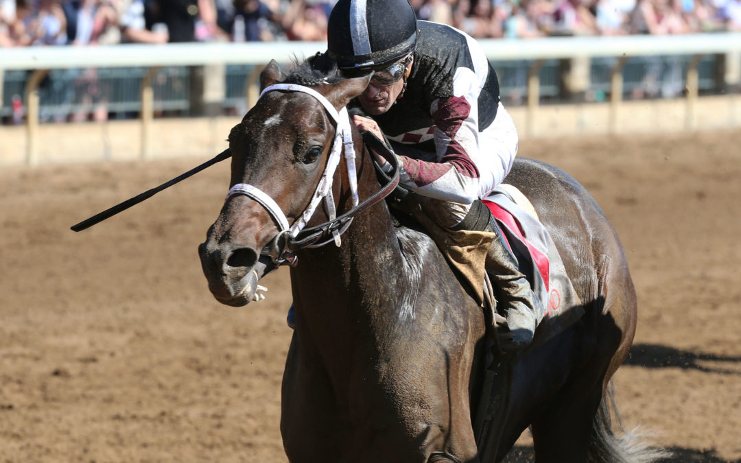 Five Weekend Races | Graded Stakes for South Bend & Recruiting Ready