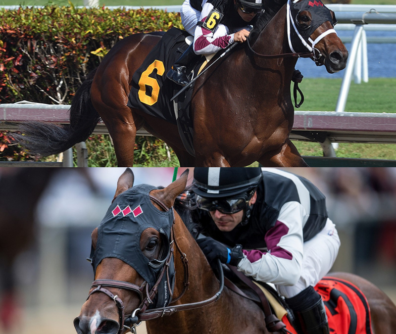 Weekend Preview – Stakes for Recruiting Ready & Global Campaign at Belmont Park